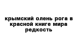 крымский олень рога в красной книге мира редкость 